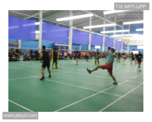 羽毛球战术实力大比拼上海羽毛球队荣登第六名榜单