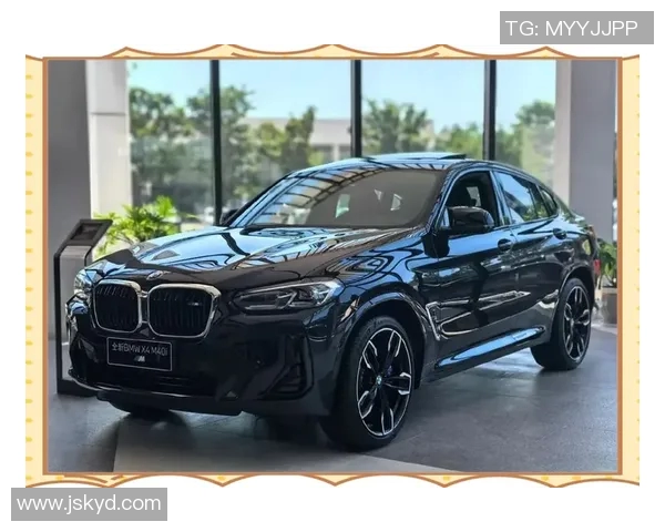 宝马汽车携手足球明星共谱激情赛场与豪华驾驭的完美结合